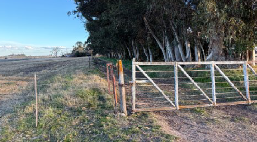 VENTA | NECOCHEA